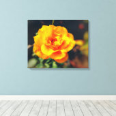 Golden Bloom Leinwanddruck (Insitu (Holzboden))