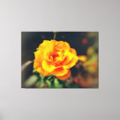 Golden Bloom Leinwanddruck (Vorderseite)