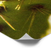 Golden Bloom Poster (Ecke)