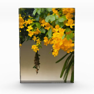 Golden Blossom Beauty Fotoblock