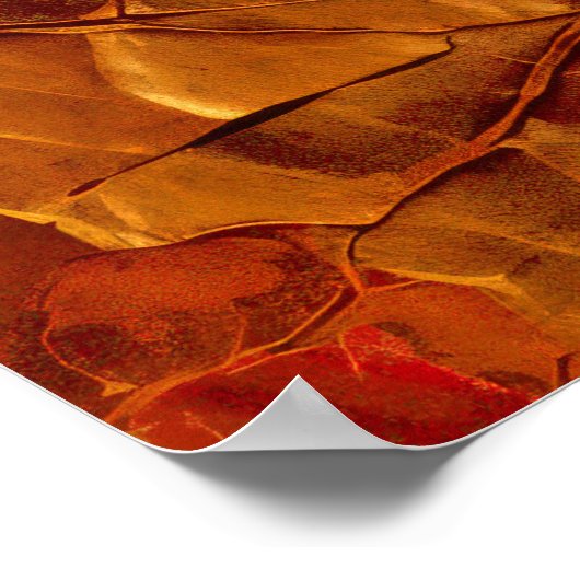 Golden Brown Cracked Textures Poster (Ecke)