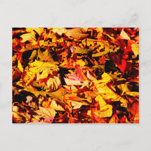 Golden Brown Herbstleaves Postkarte