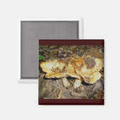 Golden Brown Mushrooms Magnet (Vorderseite/Rückseite)