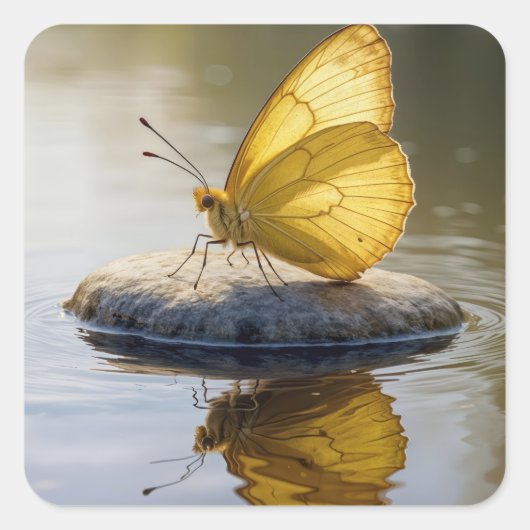 Golden Butterfly On a Rock in Water Quadratischer Aufkleber (Vorderseite)