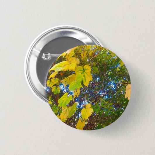 Golden Button (Vorne & Hinten)