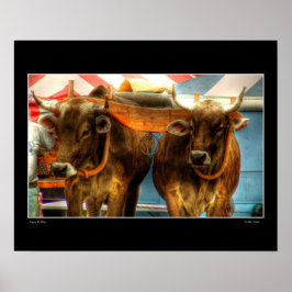 Golden Calves Poster