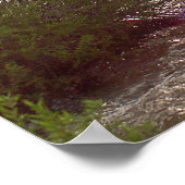 Golden Canyon Kayaks Poster (Ecke)