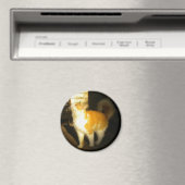 Golden Cat Magnet (In Situ (Geschirrspüler))