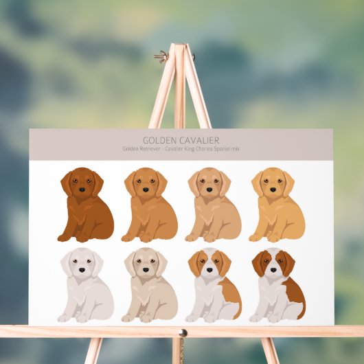 Golden Cavalier Hundemix Acrylschild (Neutral)