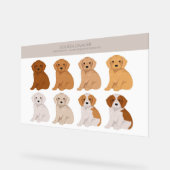 Golden Cavalier Hundemix Acrylschild (Winkel)