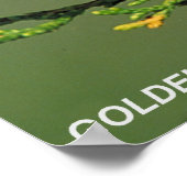 Golden-Cheeked Warbler Poster (Ecke)