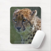 Golden Cheetah Mousemat Mousepad (Mit Mouse)