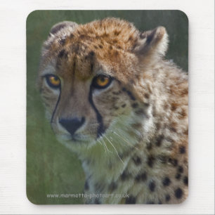 Golden Cheetah Mousemat Mousepad