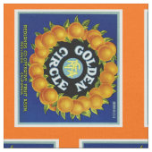 Golden Circle Orange Stoff (Nahaufnahme)