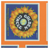 Golden Circle Orangen Stoff (Nahaufnahme)