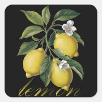 Golden Citrus Vintage Zitrone