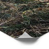 Golden. Colorado Poster (Ecke)