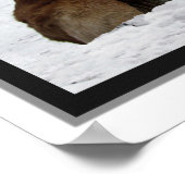 Golden-Conservatory-Central Park 3D Frame Poster (Ecke)