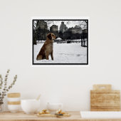 Golden-Conservatory-Central Park 3D Frame Poster (Küche)