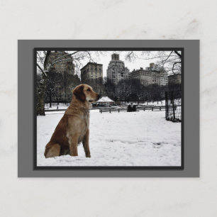 Golden Conservatory Water-Central Park Postcard Postkarte