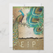 Golden Copper Champagne Gold Peacock Feathers Einladung (Rückseite)