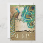 Golden Copper Champagne Gold Peacock Feathers Einladung (Rückseite)