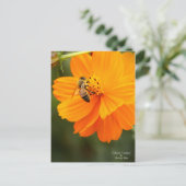 Golden Cosmos & Honey Bee ［ Postcard ］ Postkarte (Stehend Vorderseite)