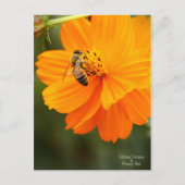 Golden Cosmos & Honey Bee ［ Postcard ］ Postkarte (Vorderseite)