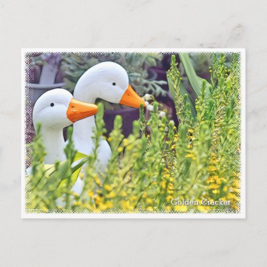 Golden Cracker Postkarte (Vorderseite)