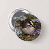Golden-Crowned Kinglet Button (Vorne & Hinten)