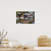 Golden Crowned Kinglet Fine Art Prints Poster (Küche)