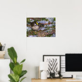 Golden Crowned Kinglet Fine Art Prints Poster (Heimbüro)