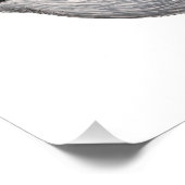 Golden-Crowned Kinglet Fotodruck (Ecke)