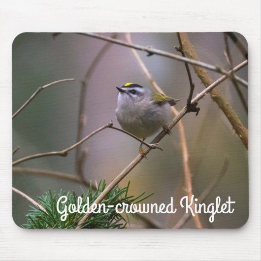 Golden-Crowned Kinglet Mousepad (Vorne)