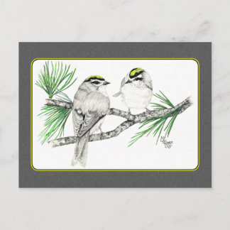 Golden Crowned Kinglet Postcard 2 im Stift Postkarte