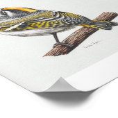 Golden Crowned Kinglet Printing Poster (Ecke)