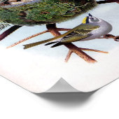 Golden Crownlet Poster (Ecke)