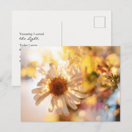 Golden daisy with universal spiritual message postkarte