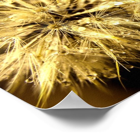 Golden Dandy Dreams Poster (Ecke)