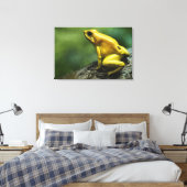 Golden Dart Frog Leinwanddruck (Insitu (Schlafzimmer))