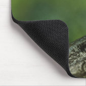 Golden Dart Frog Mousepad (Ecke)