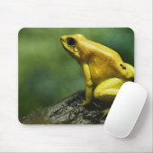 Golden Dart Frog Mousepad (Mit Mouse)