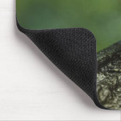 Golden Dart Frog Mousepad (Ecke)