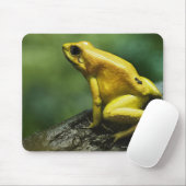 Golden Dart Frog Mousepad (Mit Mouse)