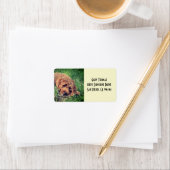 Golden Doodle Address Labels Adressaufkleber (Insitu)