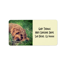 Golden Doodle Address Labels Adressaufkleber