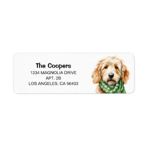 Golden Doodle-Adresse