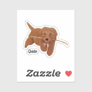 Golden Doodle  Aufkleber