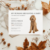 Golden Doodle Baby Dusche Minimalistische Einladun Einladung