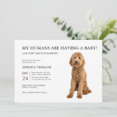 Golden Doodle Baby Dusche Minimalistische Einladun Einladung (Stehend Vorderseite)